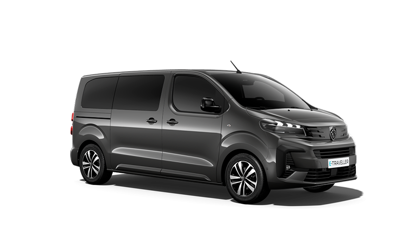 Noul E-TRAVELLER